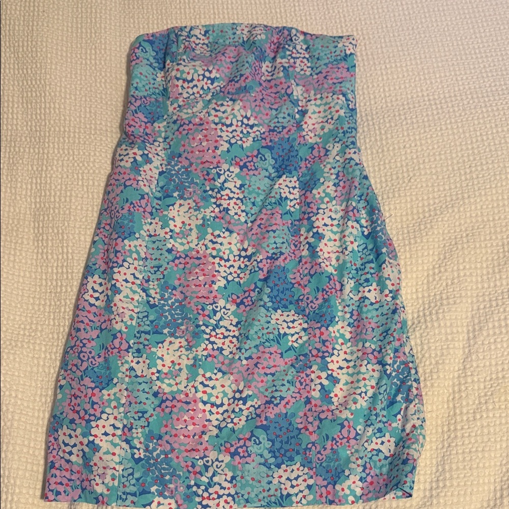 Lilly Pulitzer Franco Dress